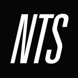 NTSlogo